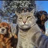 mojpk
